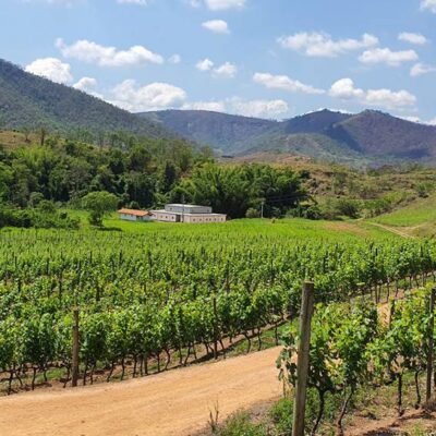 Descubra o Encanto do Serra Fluminense: 5 Vinícolas Imperdíveis para Explorar Este Novo Terroir!